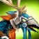 Blazing Hippogryph